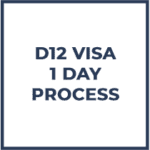 D12 Pre Investment Visa to Indonesia